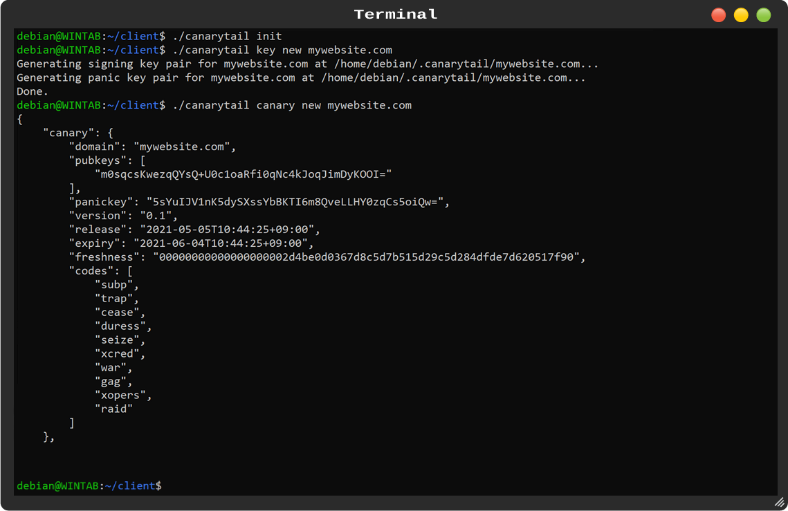 An image of the CLI client
